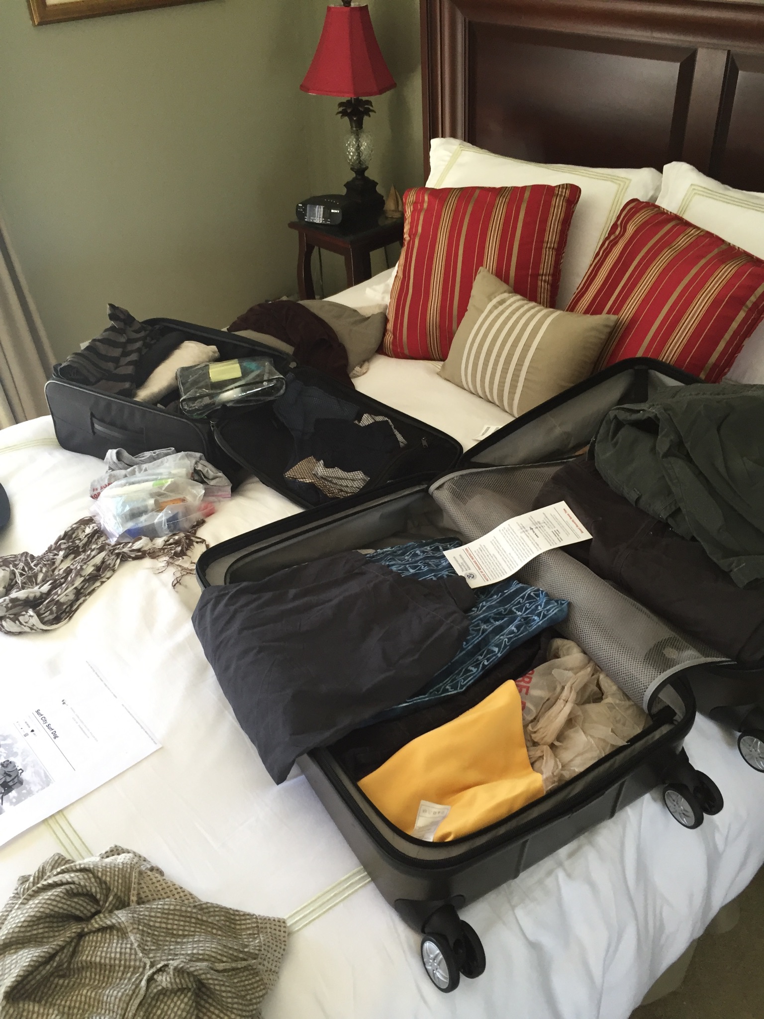 Please Don’t Put Your Suitcase There Nebraska Kale